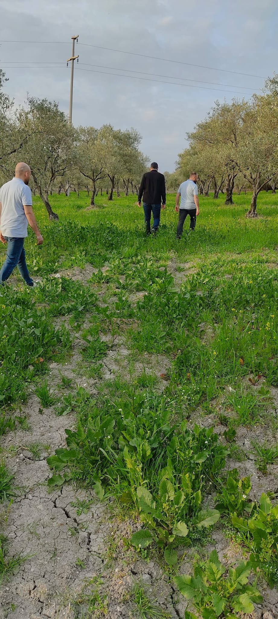 Müşteri memnuniyeti görseli