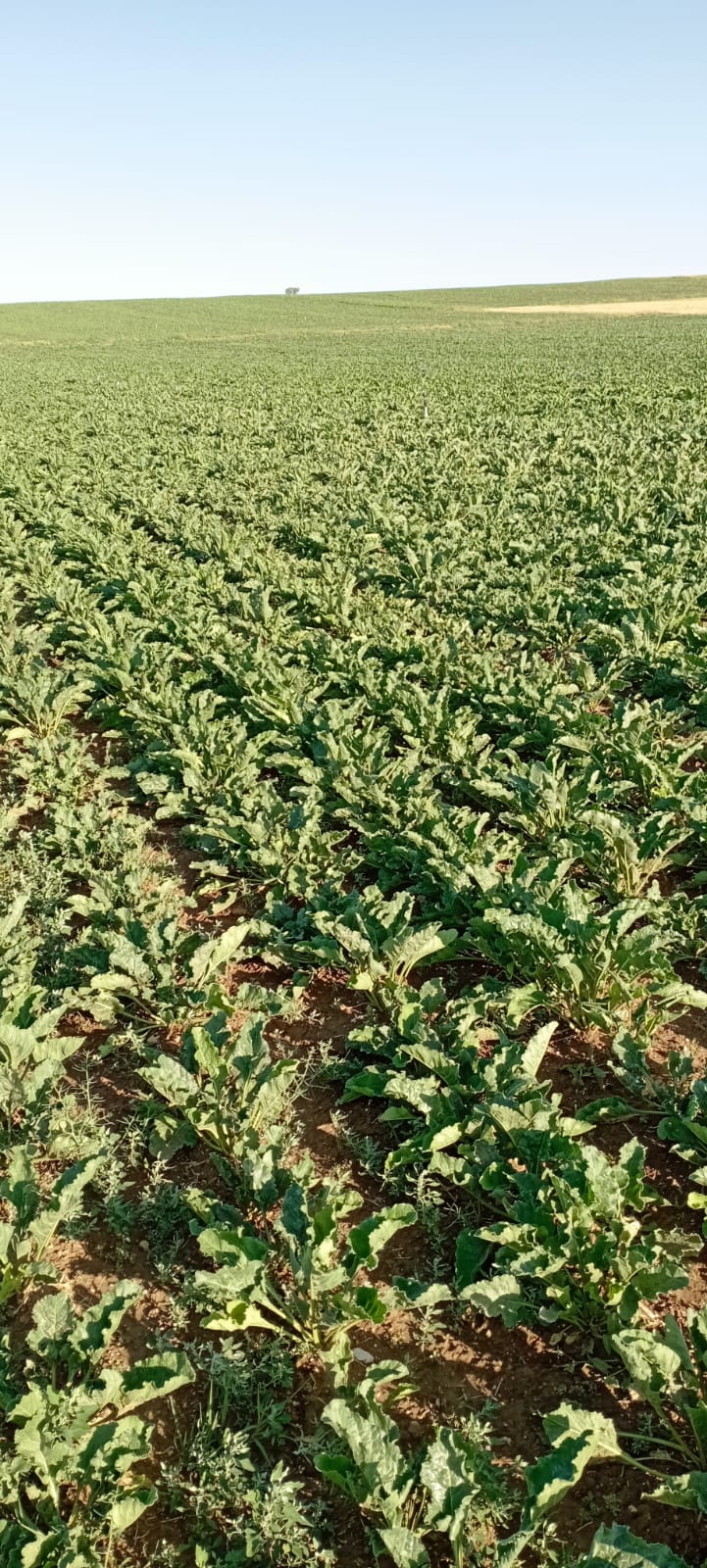 Müşteri memnuniyeti görseli