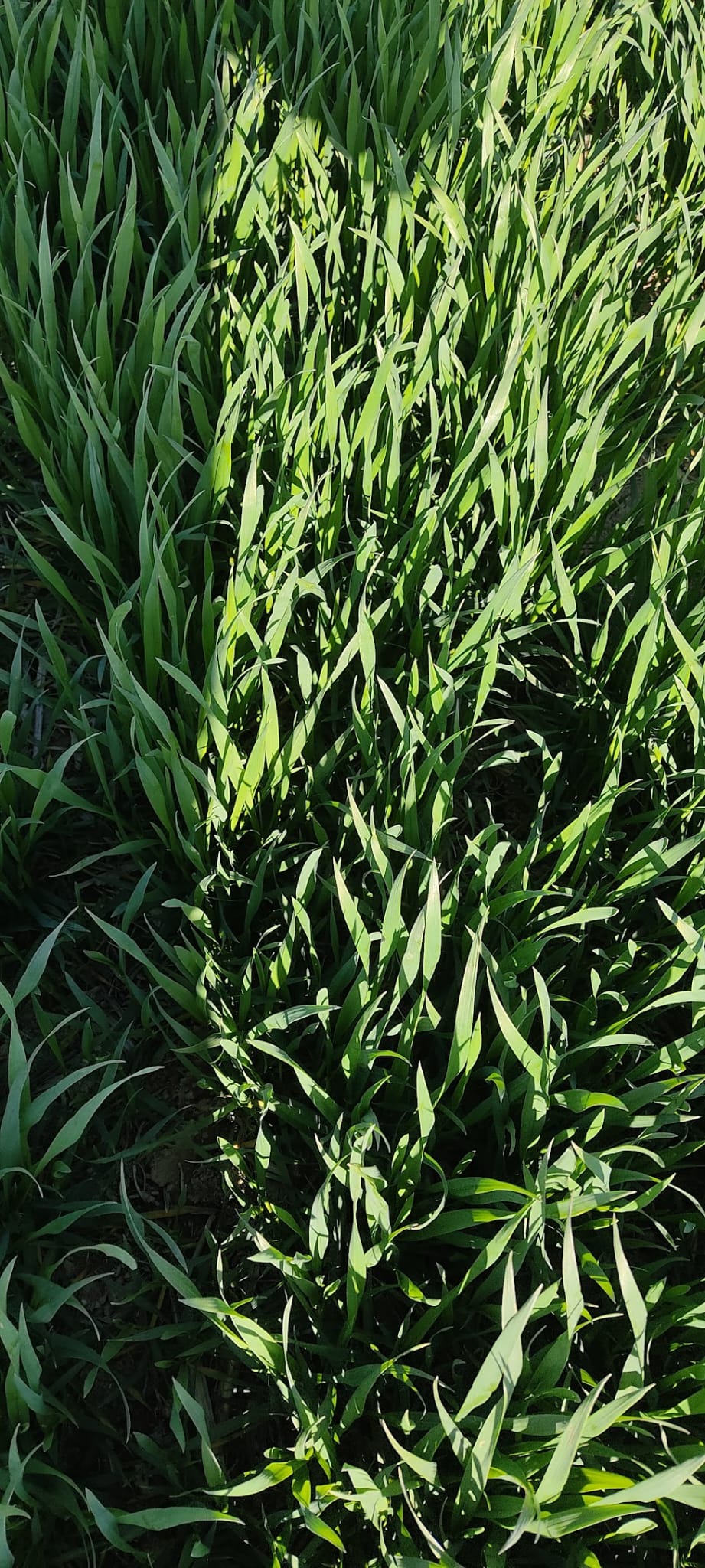 Müşteri memnuniyeti görseli