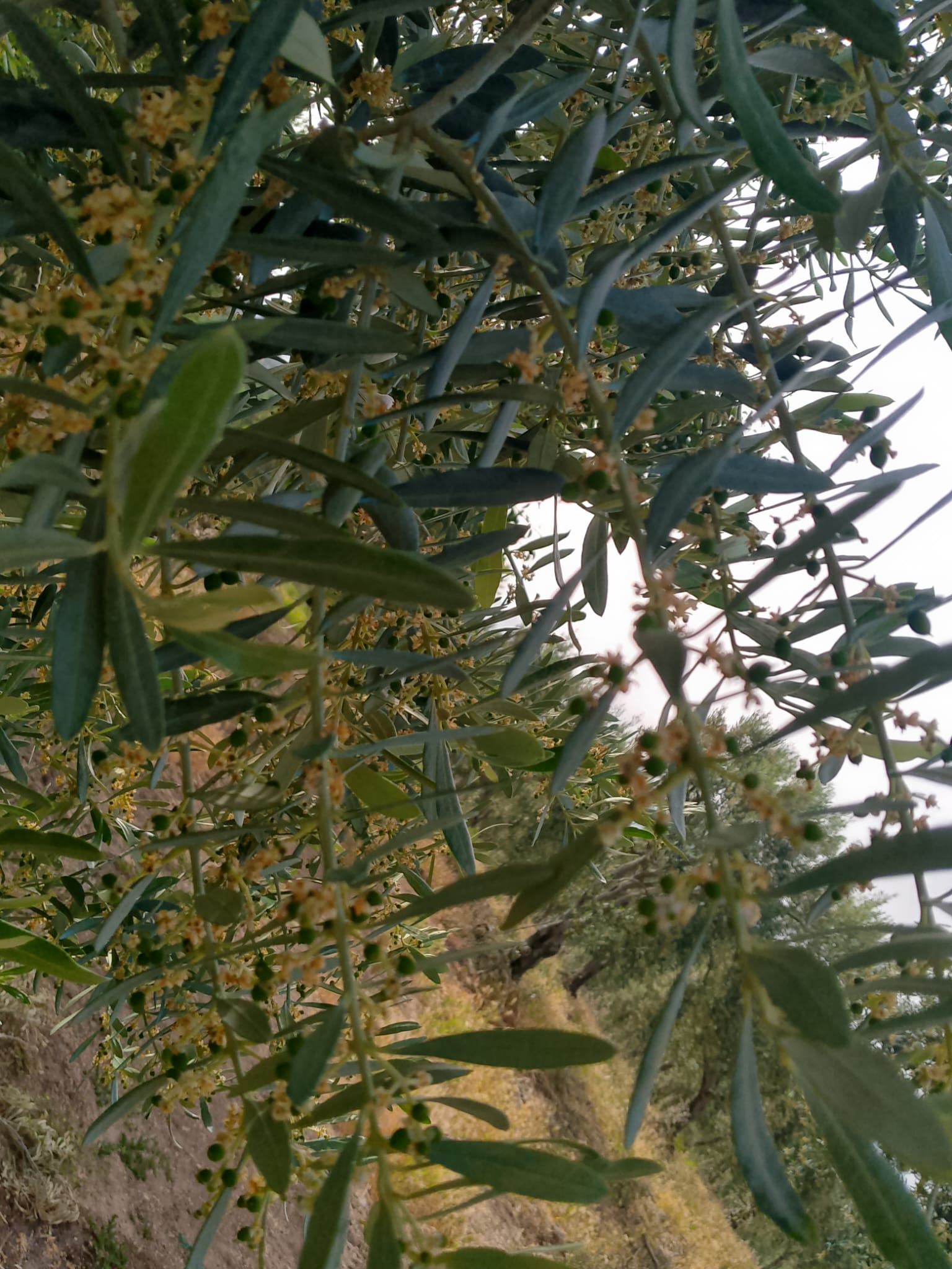 Müşteri memnuniyeti görseli