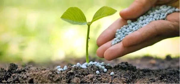 Gübre Analizi Laboratuvar Süreci