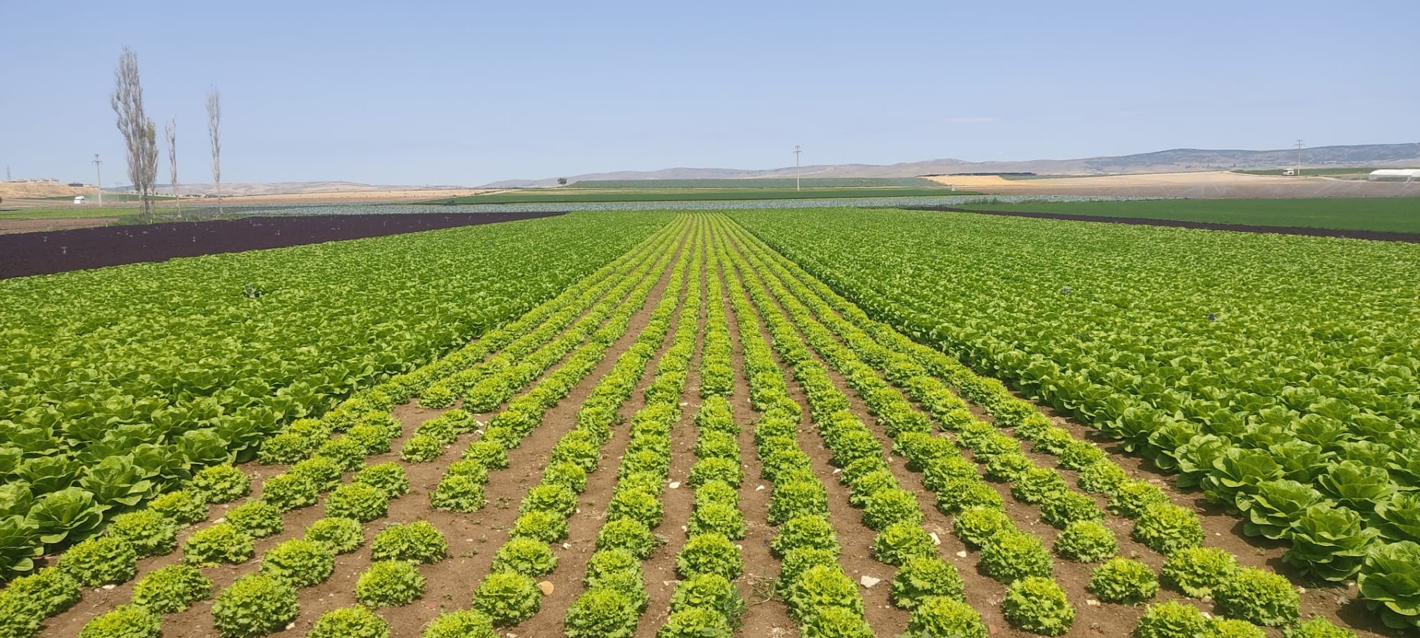 Müşteri memnuniyeti görseli