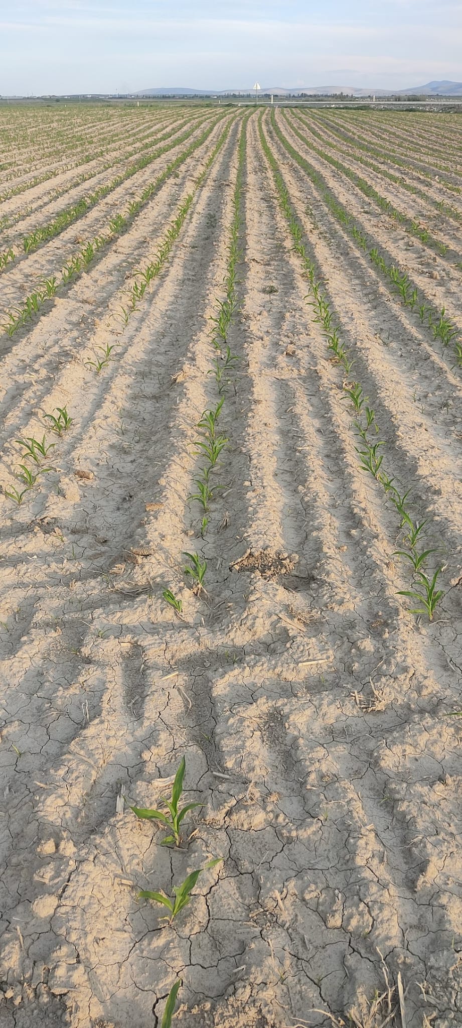 Müşteri memnuniyeti görseli