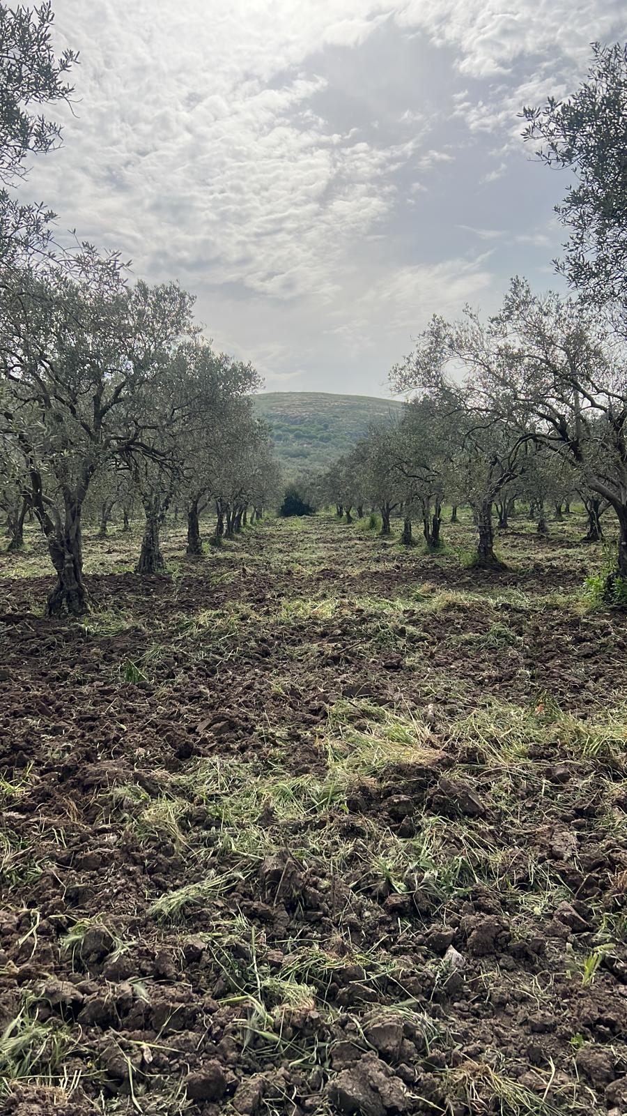 Müşteri memnuniyeti görseli