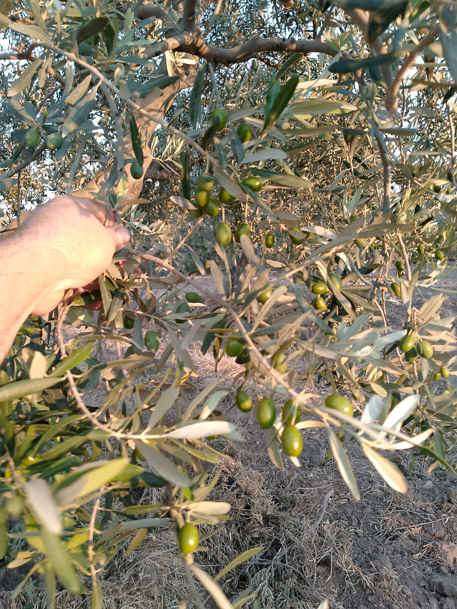 Müşteri memnuniyeti görseli