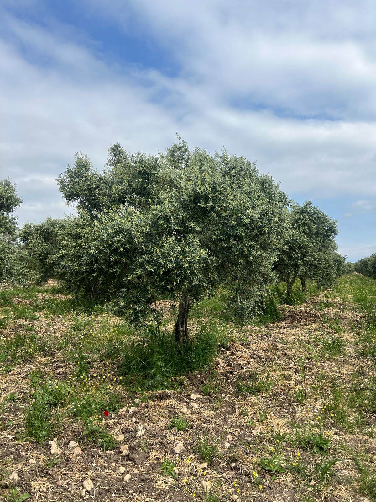 Müşteri memnuniyeti görseli