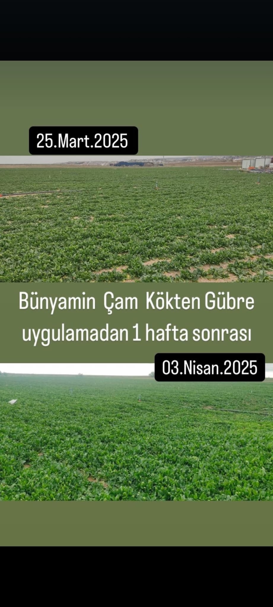 Müşteri memnuniyeti görseli