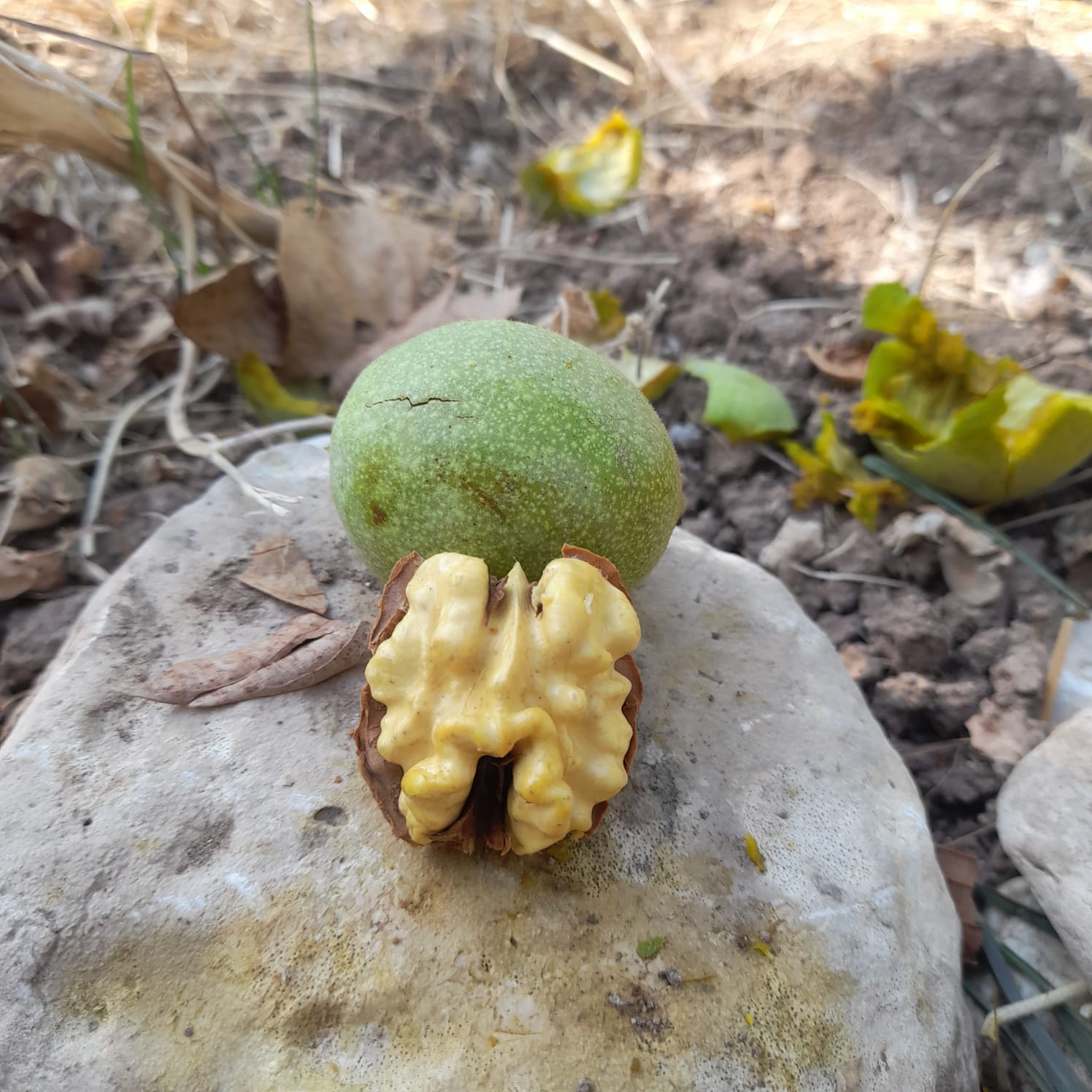 Müşteri memnuniyeti görseli