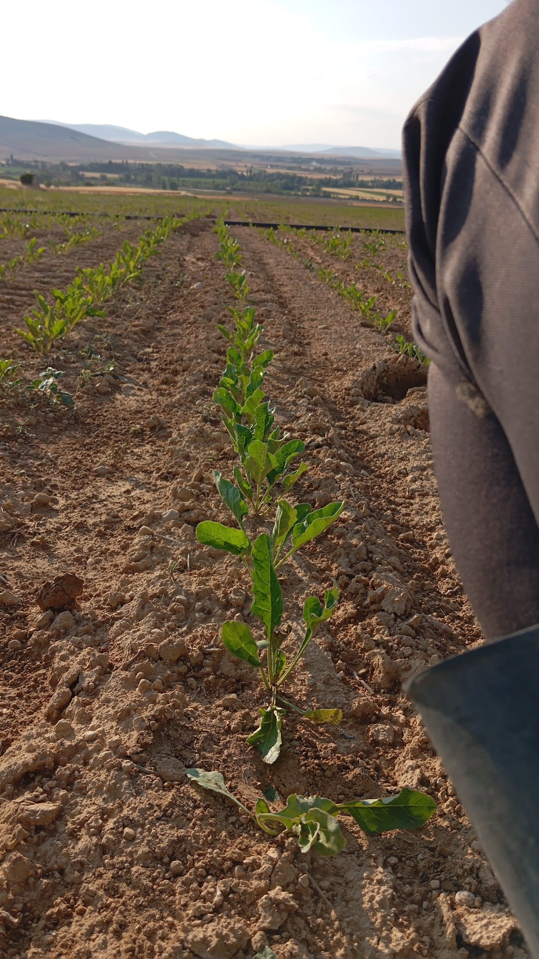 Müşteri memnuniyeti görseli