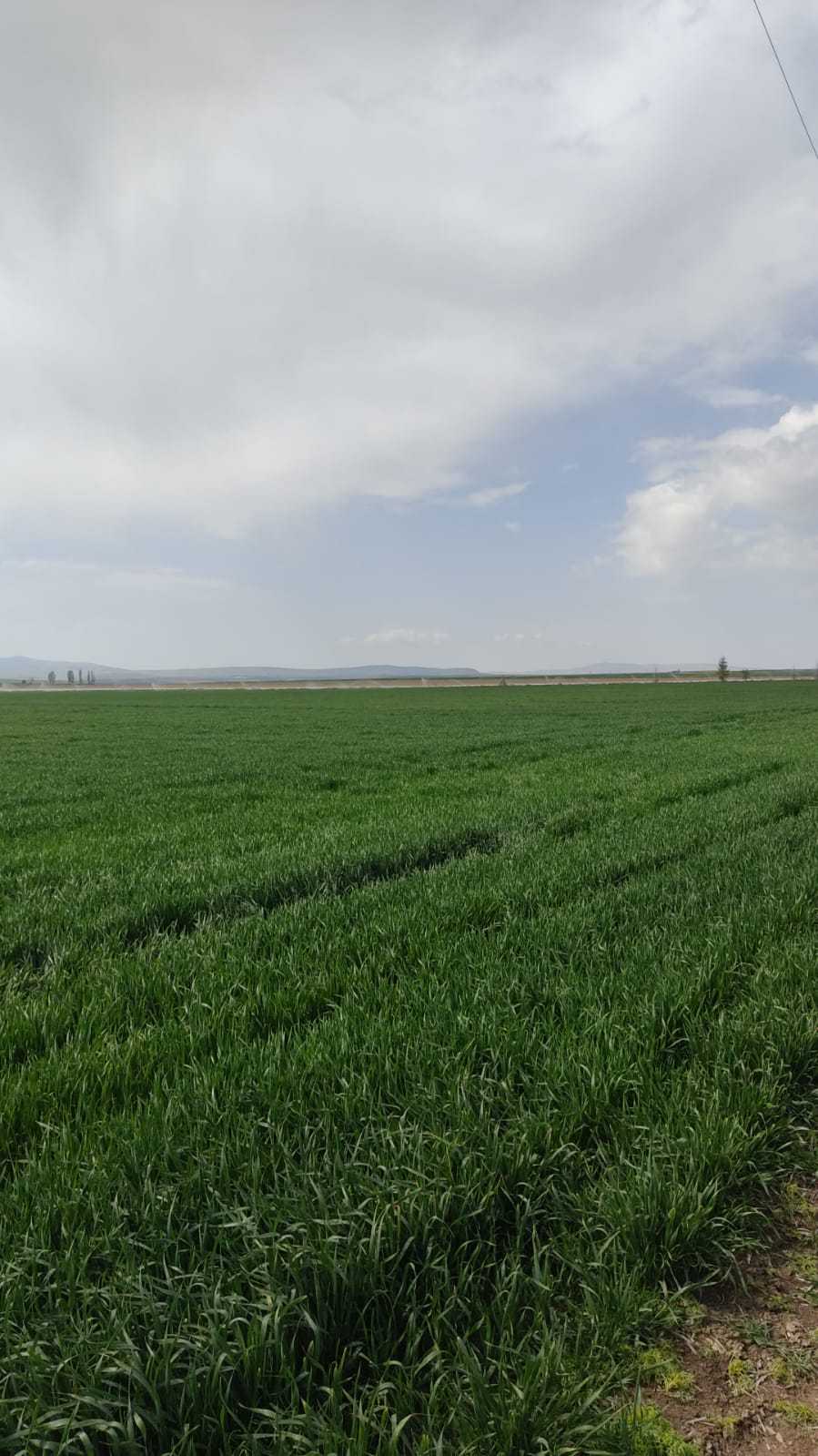 Müşteri memnuniyeti görseli