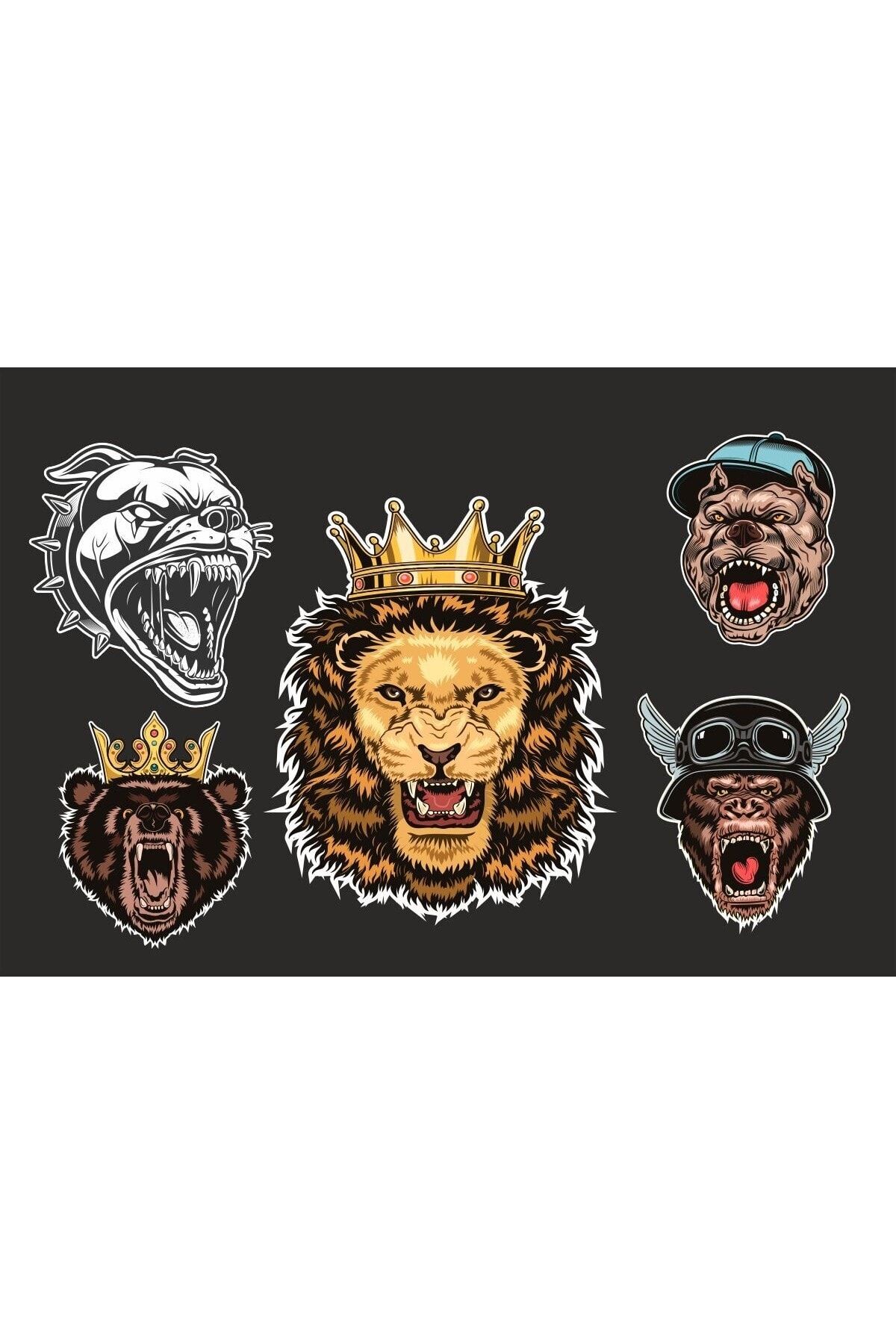 5li Motorsiklet Kask Sticker Set 1 Ad. (12x7,5) 4 Ad. (6x6)