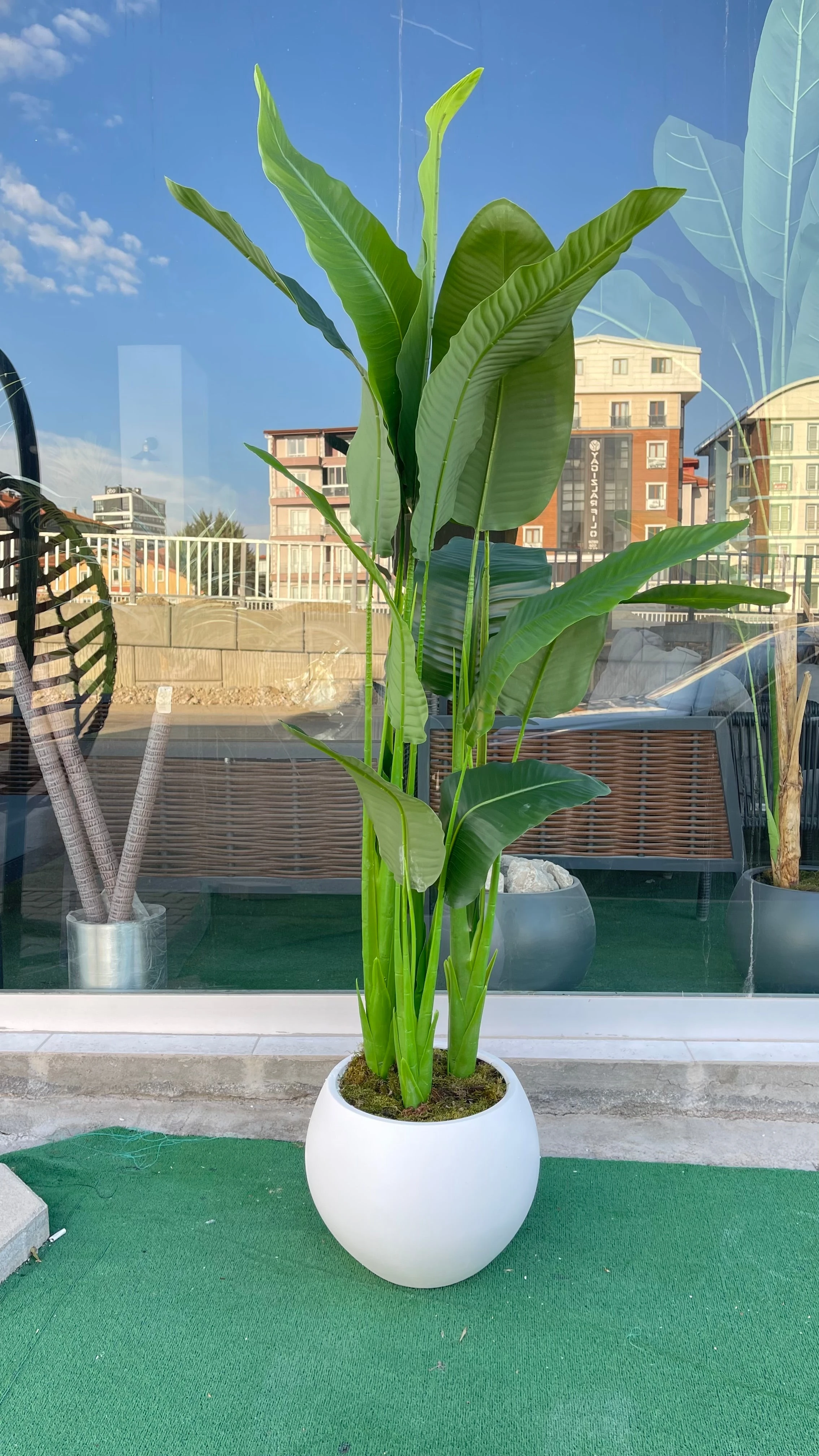 Küre Saksı da Yapay Starliçe Ağacı 170 Cm Beyaz Küre Saksı