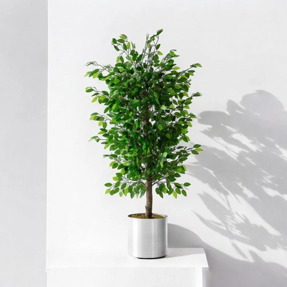 Yapay Benjamin Ağacı 180Cm