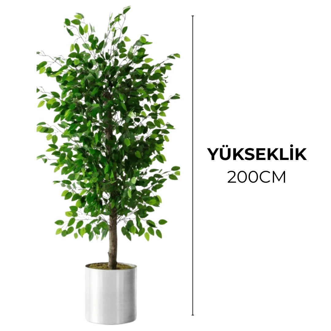 Yapay Benjamin Ağacı 200Cm