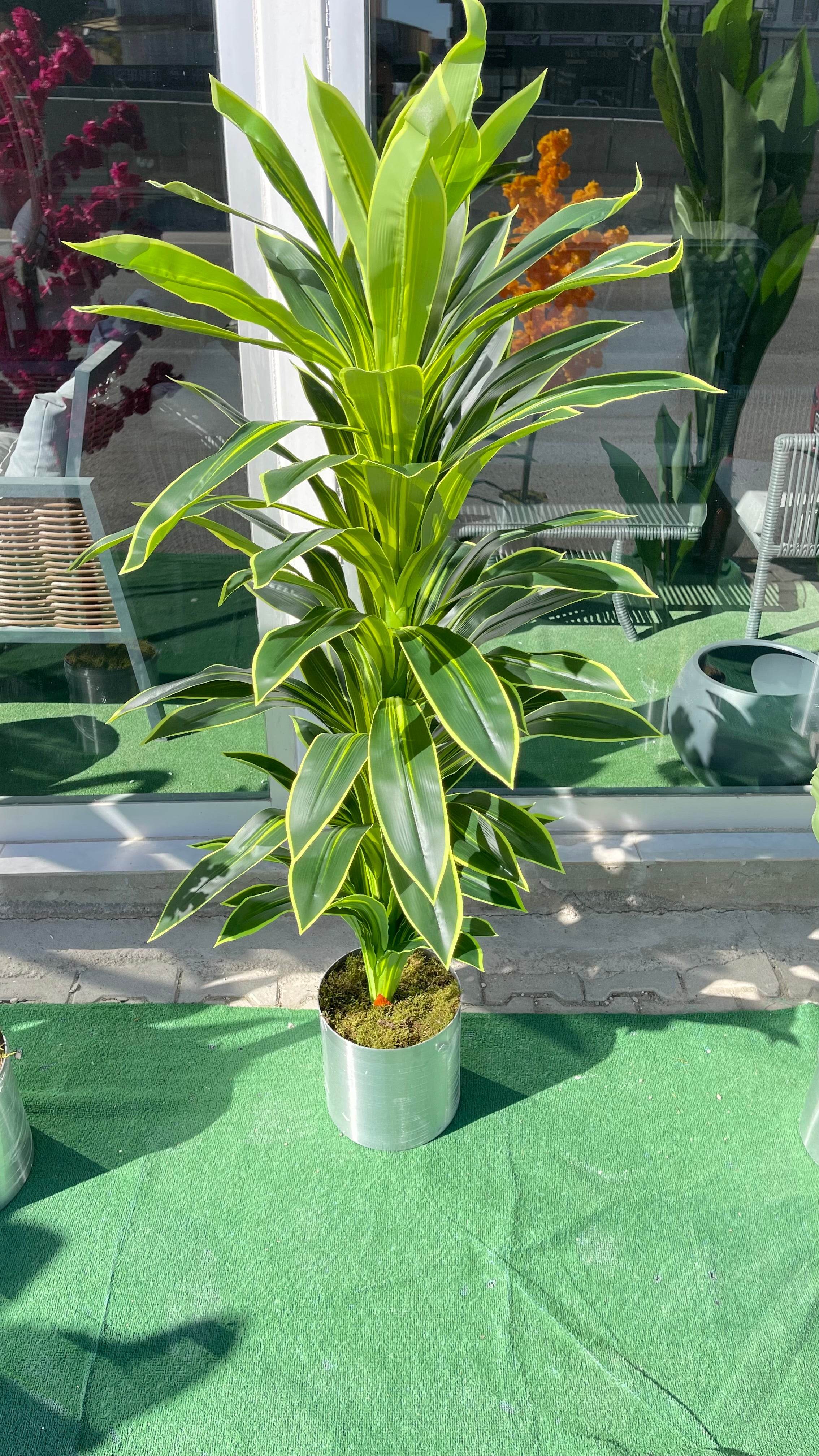 Yapay Kılıç Ağacı 170 Cm