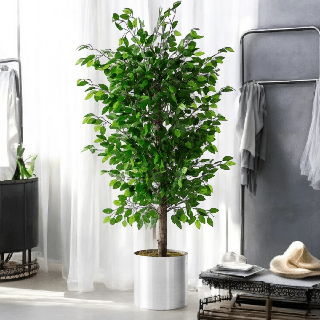 Yapay Benjamin Ağacı 200Cm