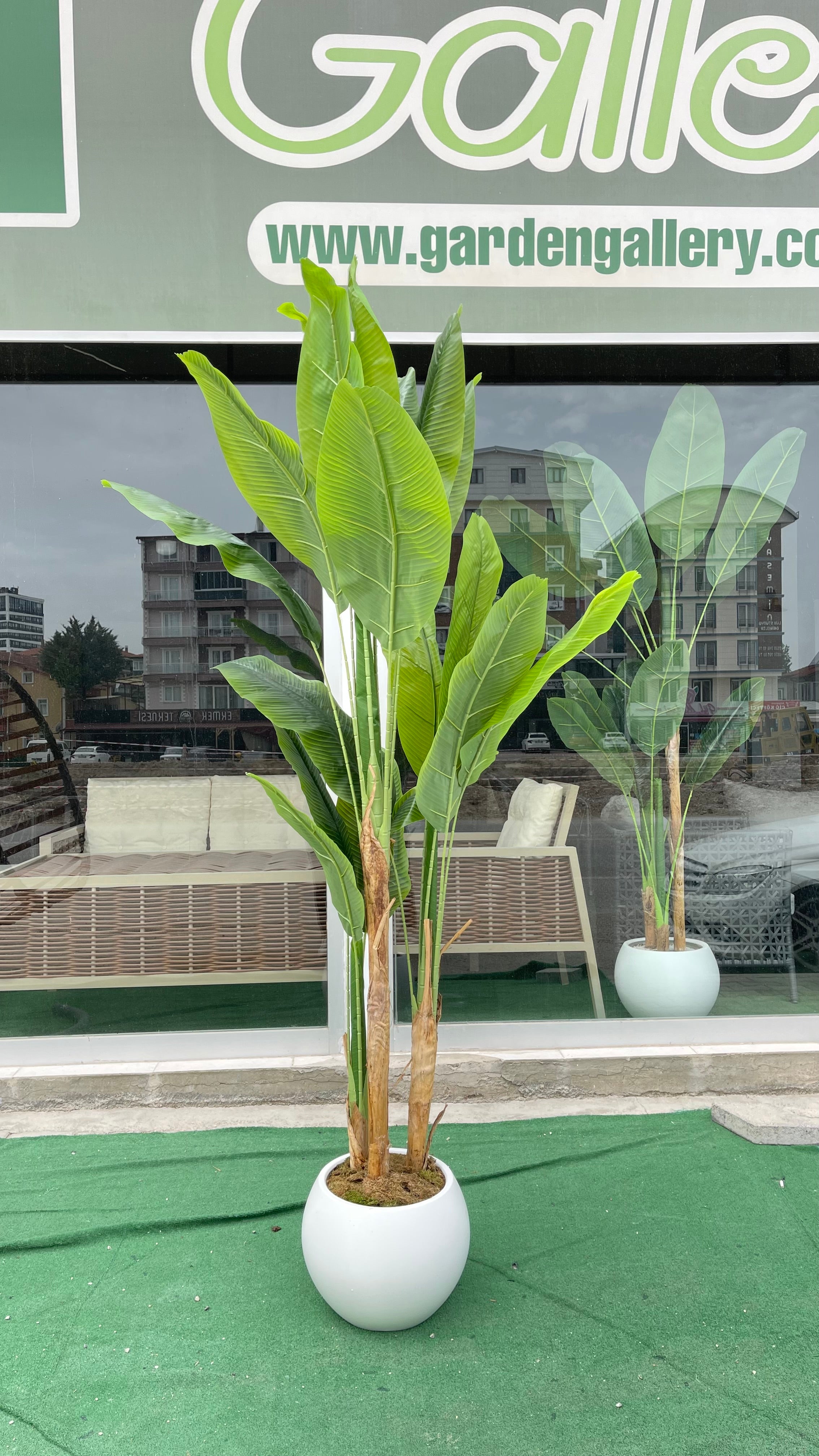 Yapay Muz Ağacı 220 cm Oval Saksılı