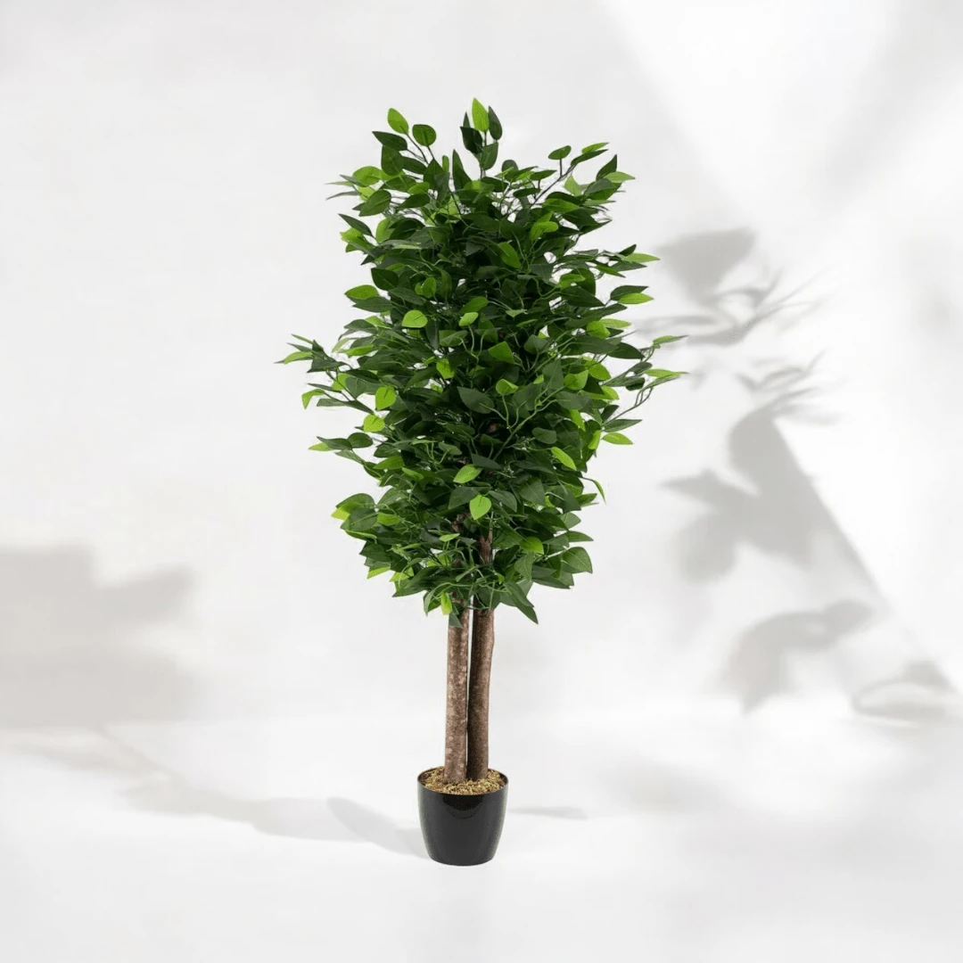 Yapay Benjamin Ağacı 120Cm