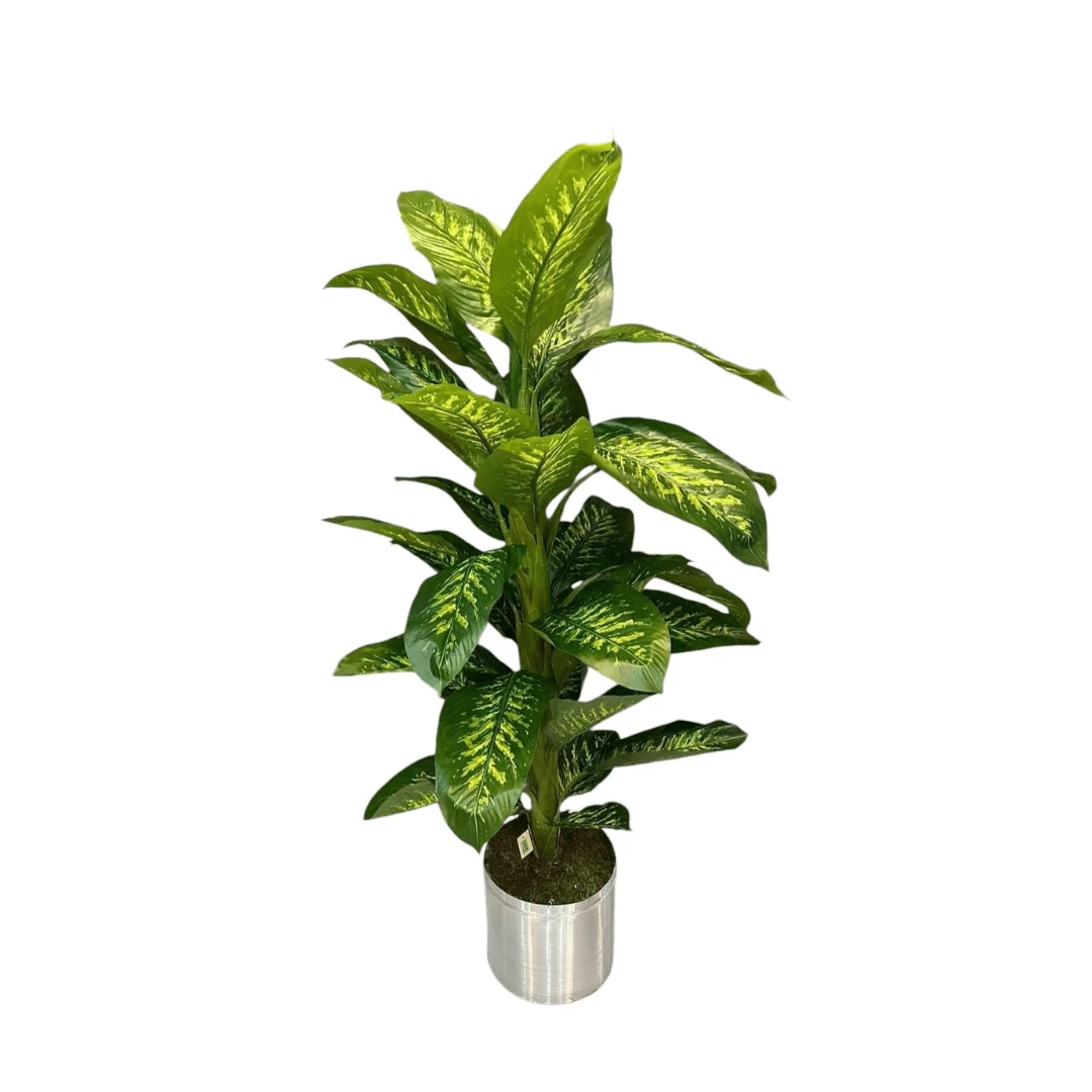 Yapay Difenbahya 180 cm