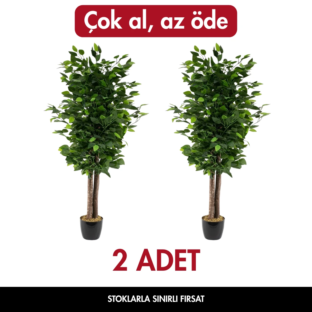 Yapay Benjamin Ağacı 100cm - İKİLİ FIRSAT
