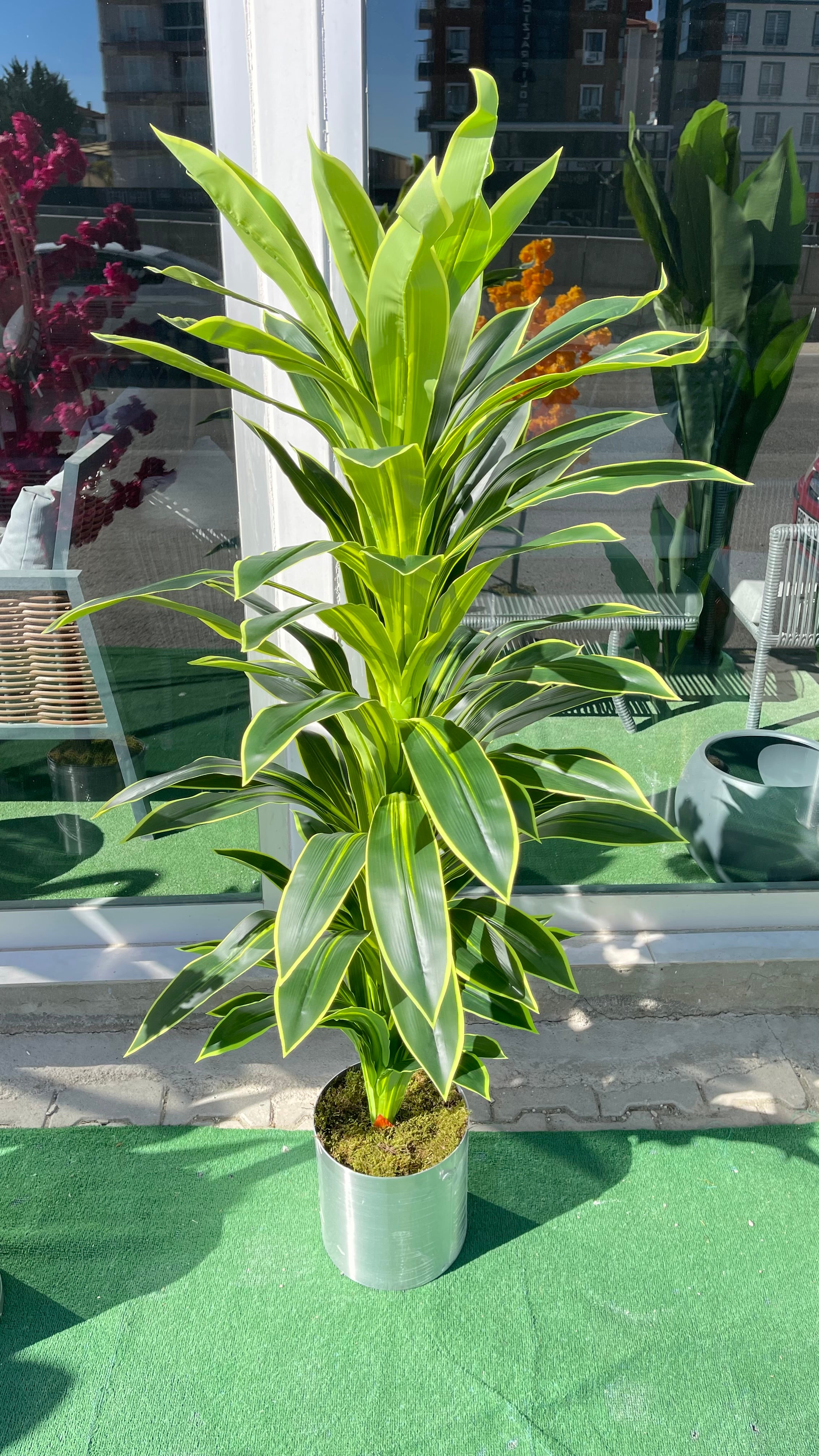 Yapay Kılıç Ağacı 170 Cm