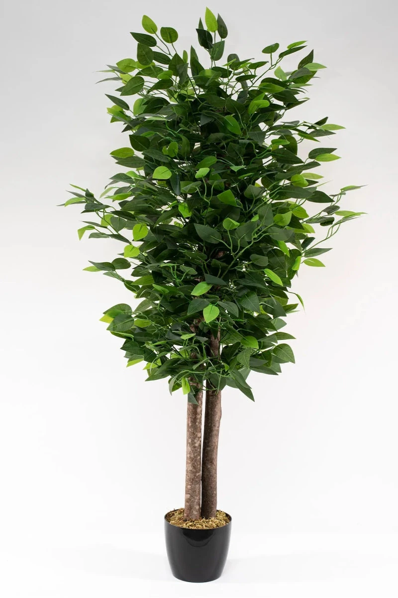 Yapay Benjamin Ağacı 120Cm