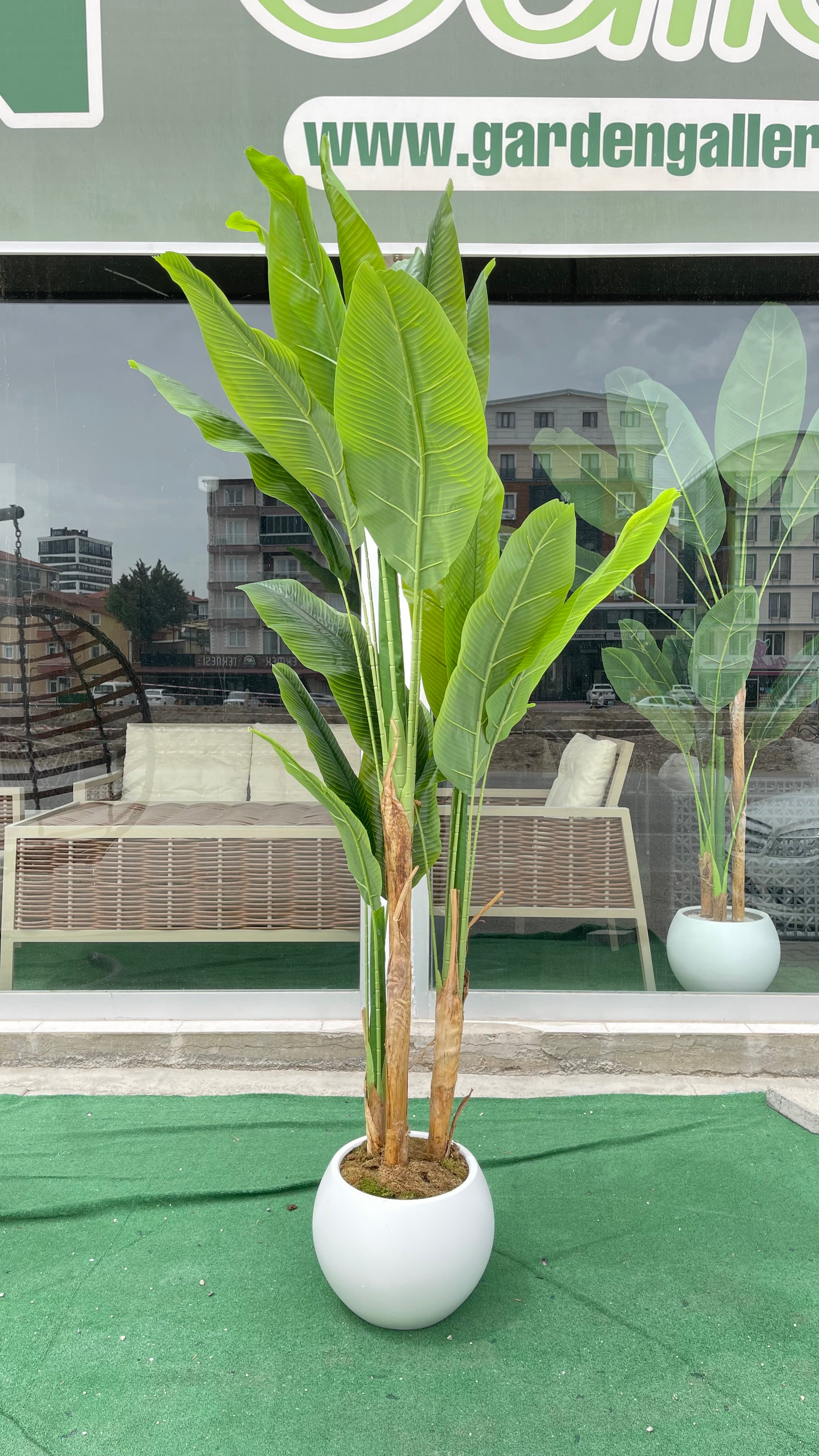 Yapay Muz Ağacı 220 cm Oval Saksılı