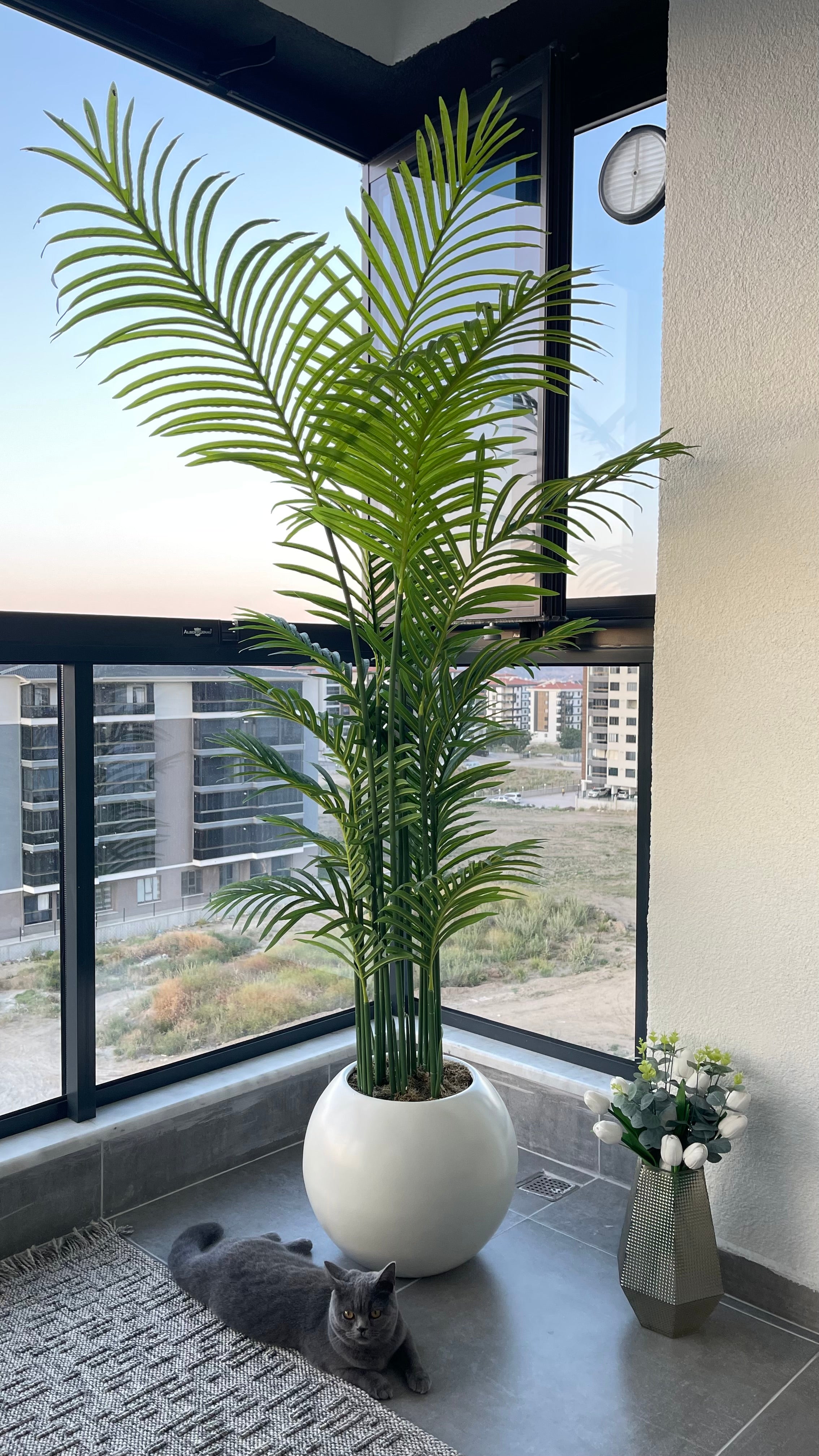 200 cm Areka Ağacı