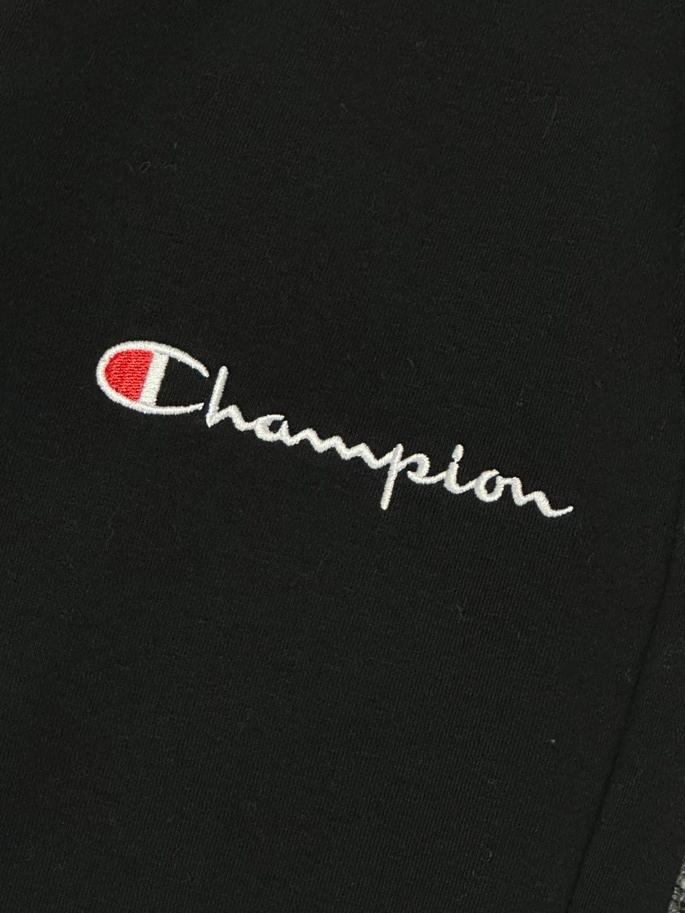 Small Script Logo Fleece Eşofman Altı