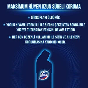 Domestos Çamaşır Suyu Dağ Esintisi 750 ML