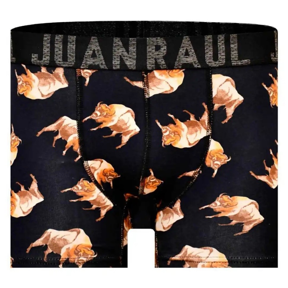 Boğa Şekilli Pamuklu Erkek Boxer Modelleri