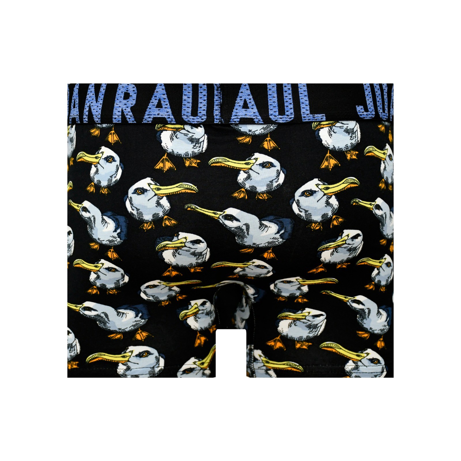 Kuş Desenli Şekilli Siyah Renkli Pamuklu Erkek Boxer Modelleri