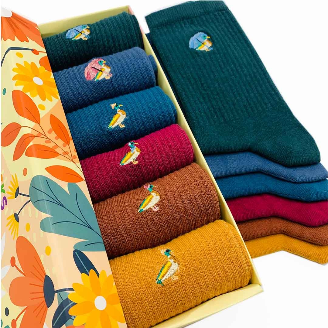 Ördek Nakışlı Renkli Soket Desenli Çorap Kutusu 6'lı Neşeli Çoraplar