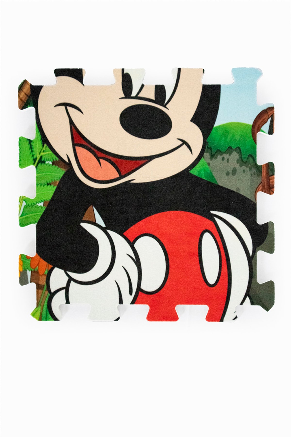 9 Parça Mickey Mouse Eğlendirici Keçe Kaplı Evamat Puzzle Yer Karosu Ve Oyun Halısı