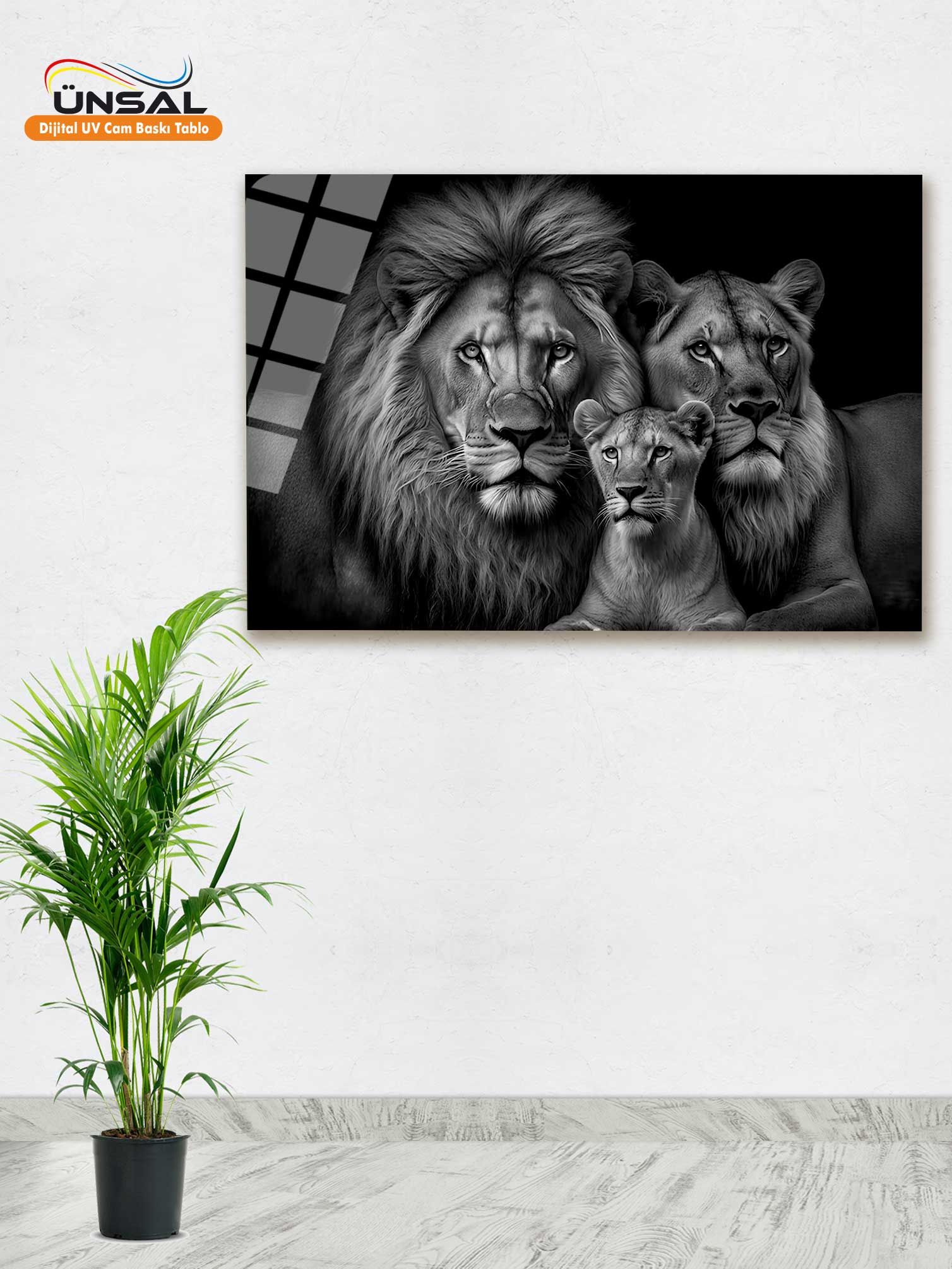 Aslan Ailesi 3 Kişilik Cam Tablo