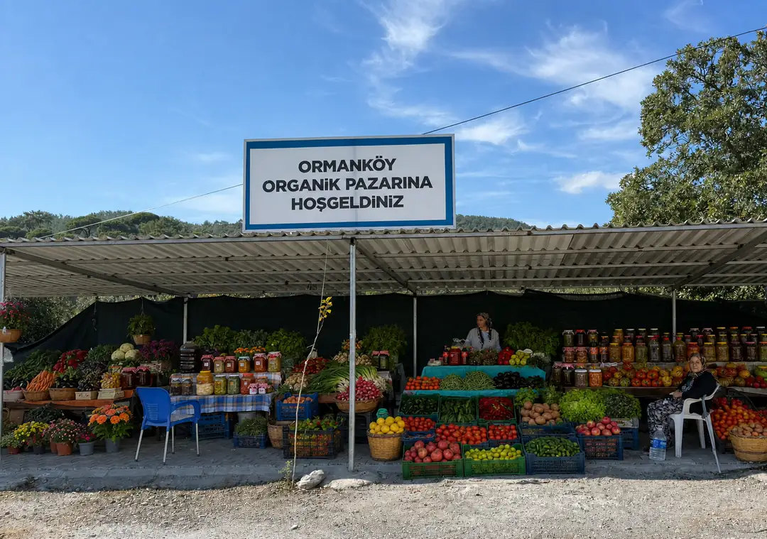 Ormanköy