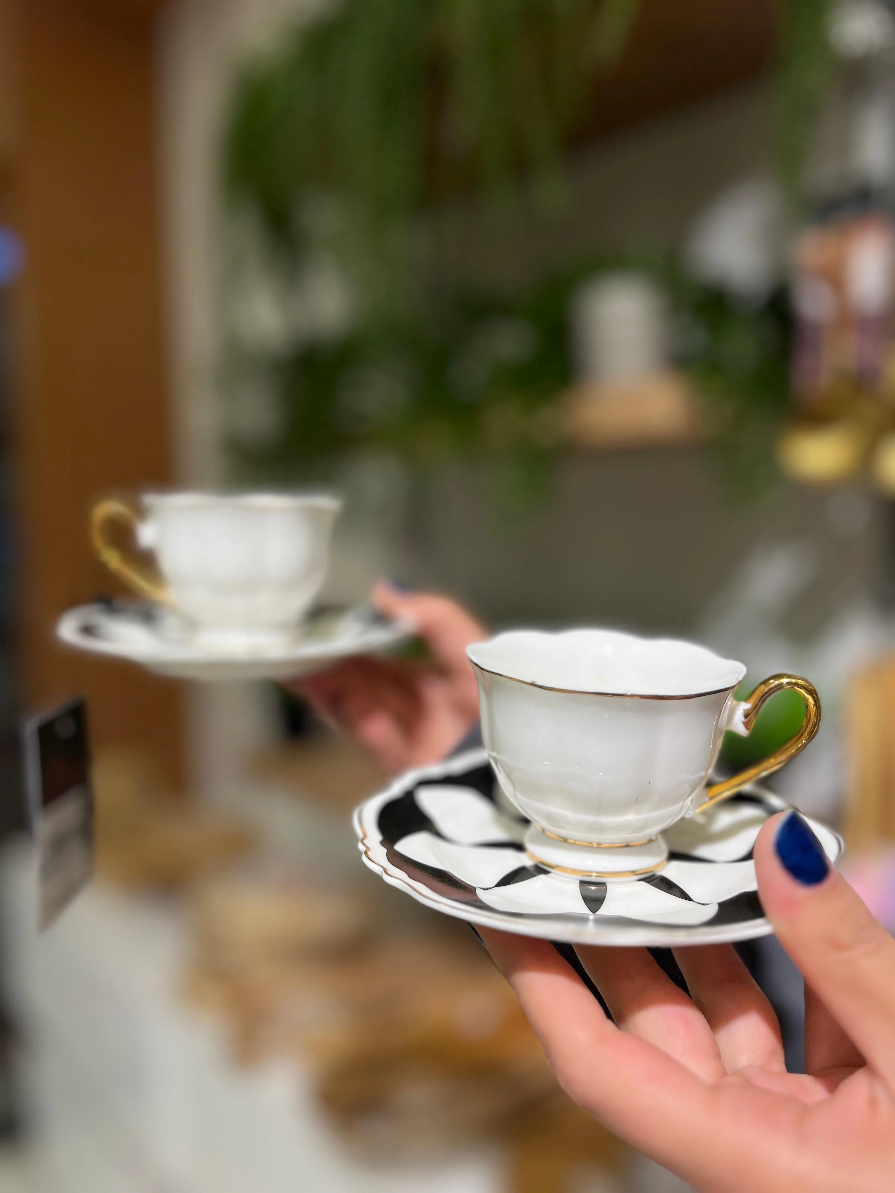 Selvina 2'li Fincan Seti