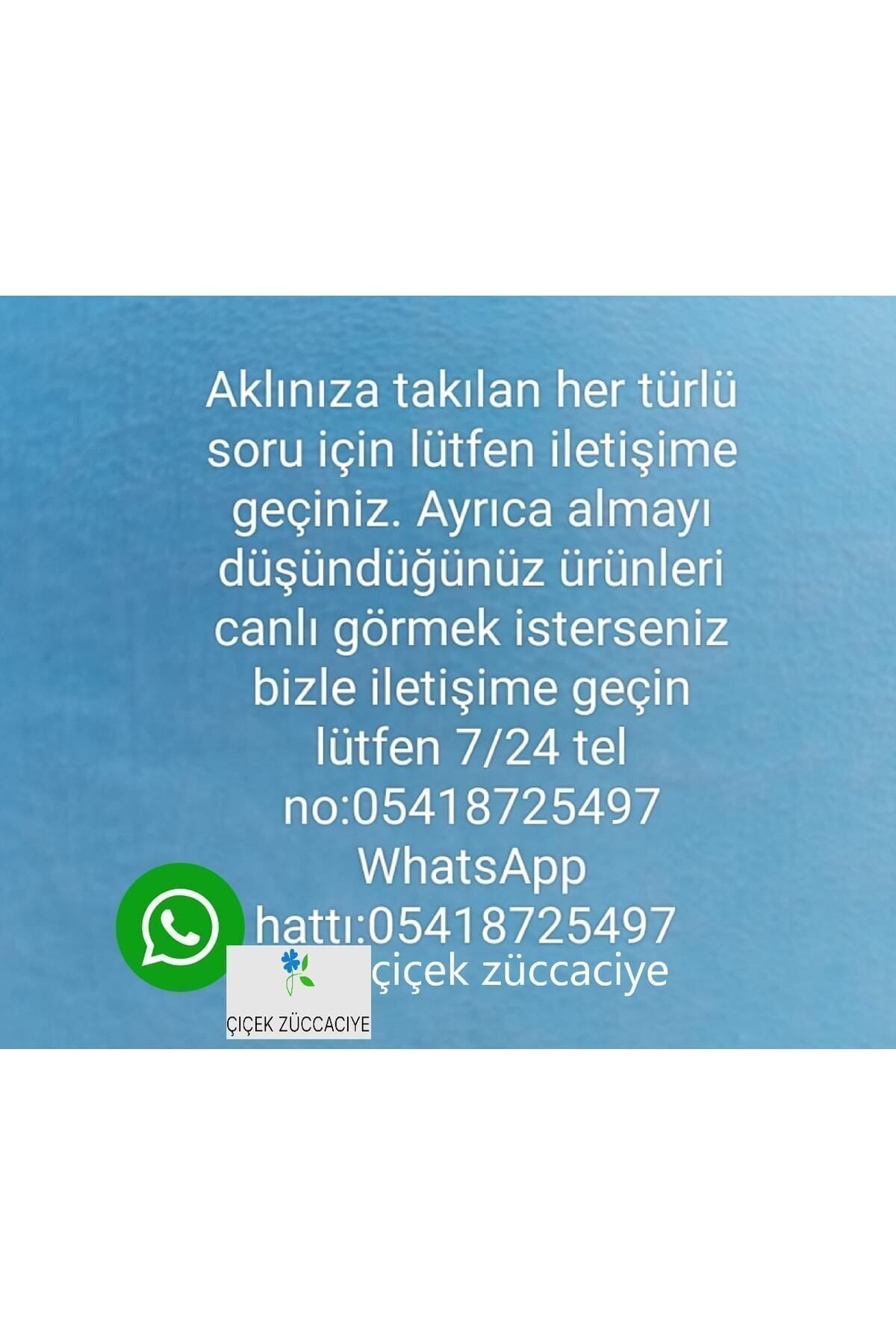 Şeffaf 12'li Cam Pipet - 12' Li Pipet