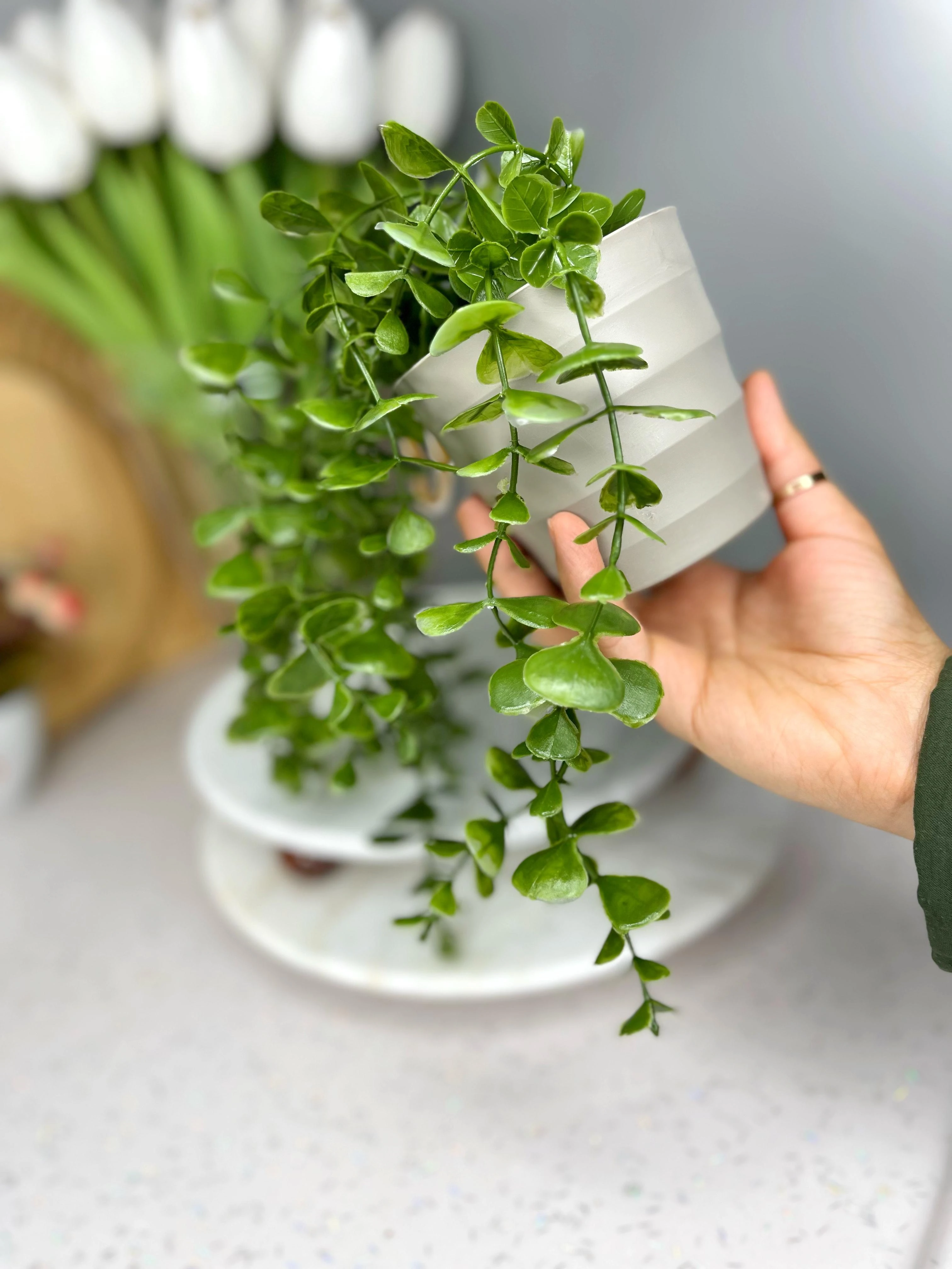 Eva Sarkan Okaliptus Çiçek