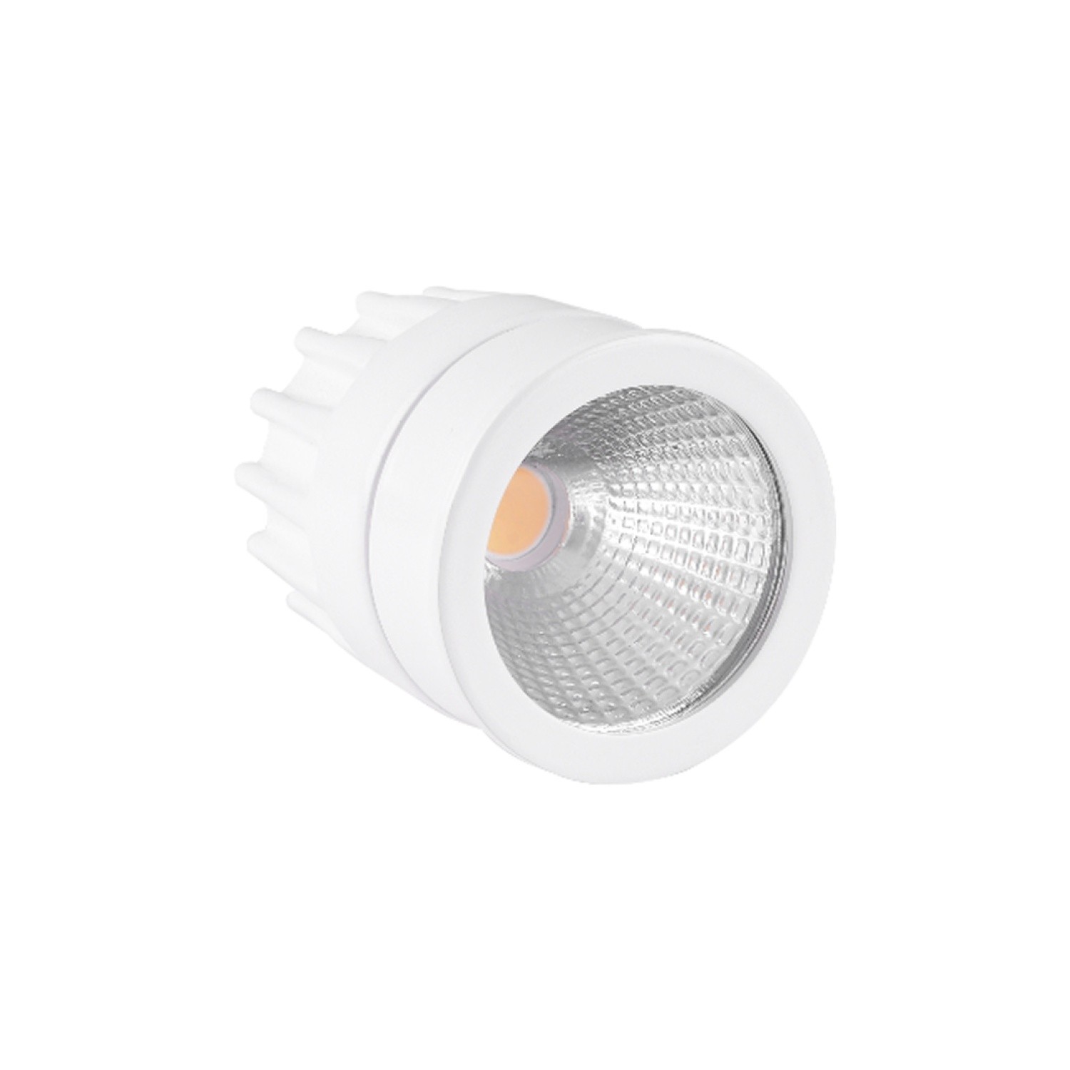 Modesco Trelew 8-12W Modül Led