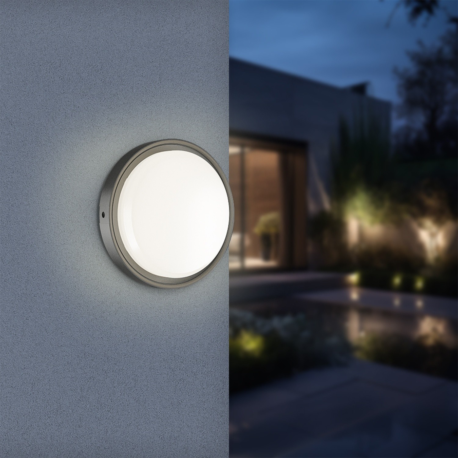 Braytron Bulkhead 12W Led Armatür 3 Renk - Siyah