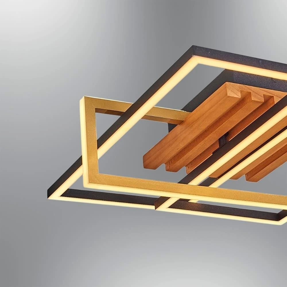 Özcan Aydınlatma Dekoratif Led Plafonyer 1420-2