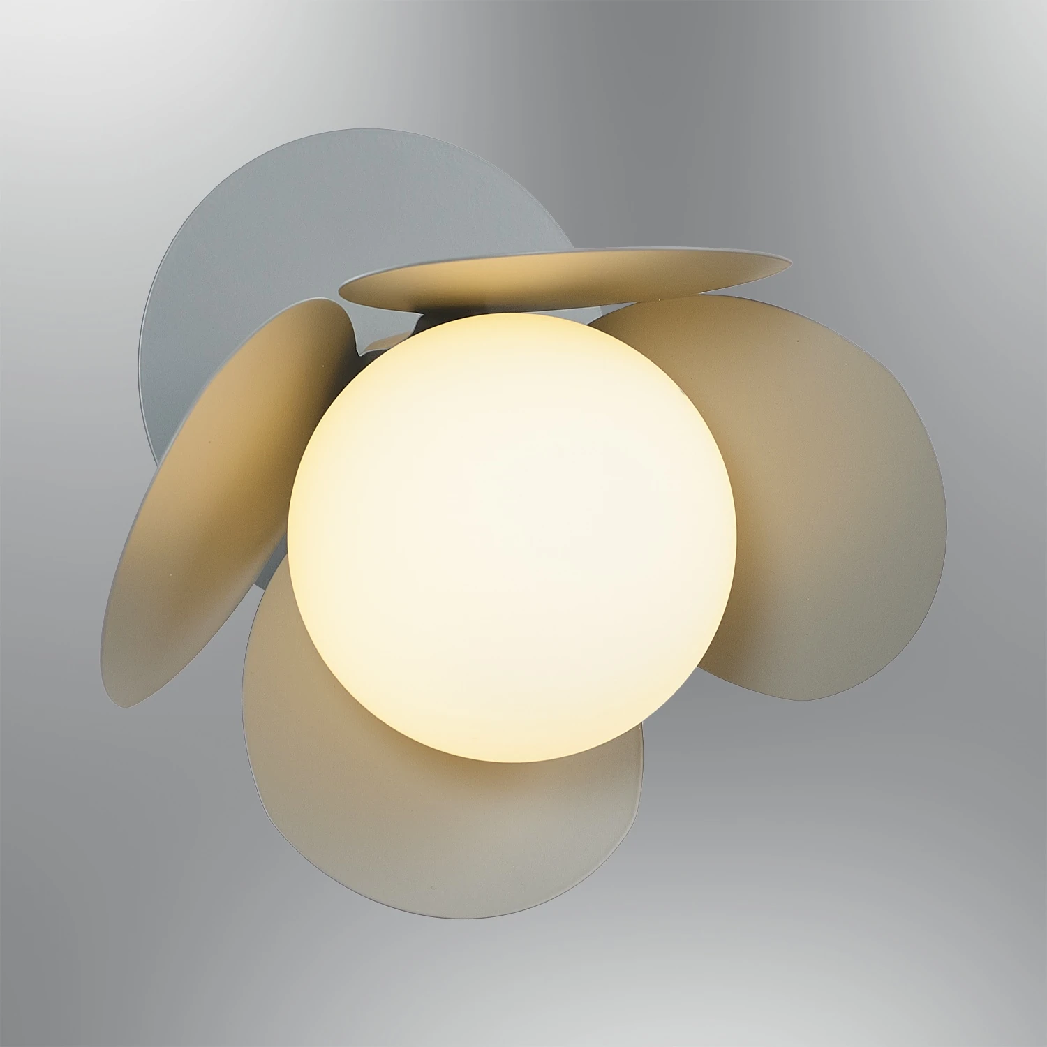 Özcan Aydınlatma 3120-APL Modern Tekli Papatya Duvar Aplik