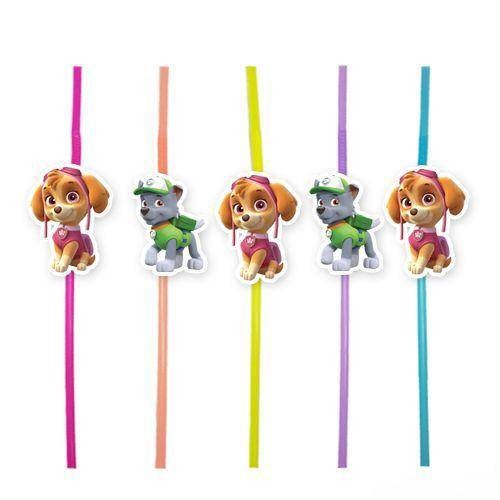 Paw Patrol Skye &amp; Rocky Artistik Pipet 10 Adet