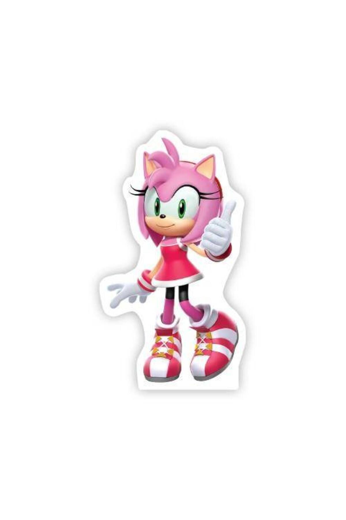 Sonic Boom Amy Rose Ayaklı Pano 34x19 Cm