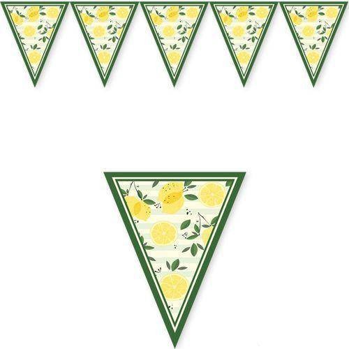 Limon Temalı Flama Bayrak 2 Metre