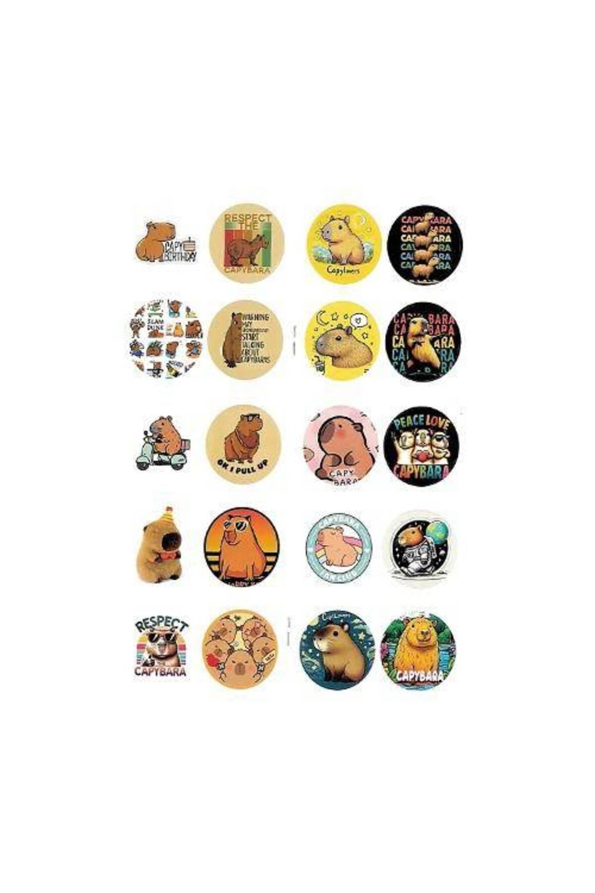 Stickerlı Kapibara Boyama Kitabı (16 SAYFA)