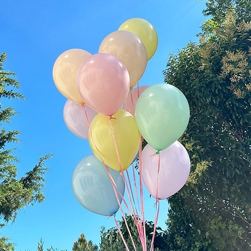 Makaron Balon Uçan Balon Demeti