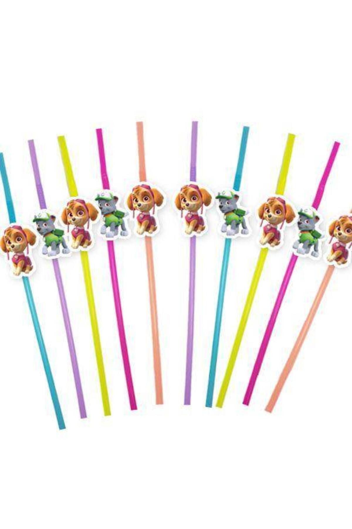 Paw Patrol Skye &amp; Rocky Artistik Pipet 10 Adet