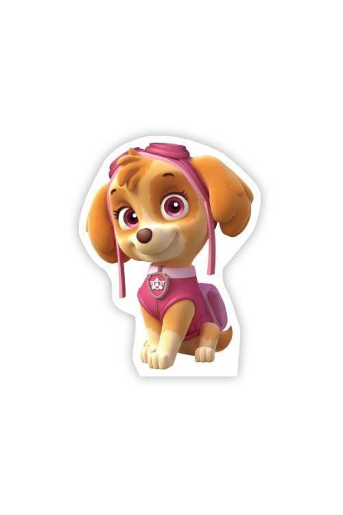 Paw Patrol Skye Ayaklı Pano 32x24 Cm